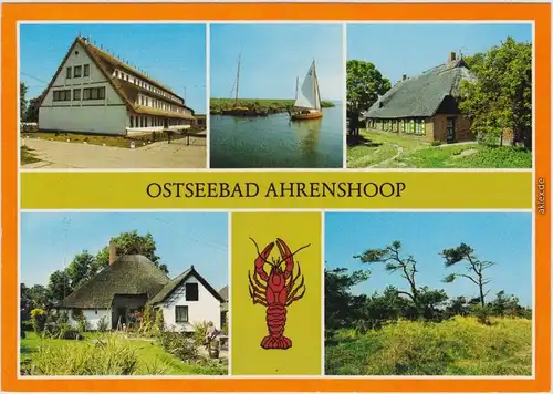 Ahrenshoop  Nienhagen - Betriebsferienheim "Boddenblick" Althagen Hafen,  1984