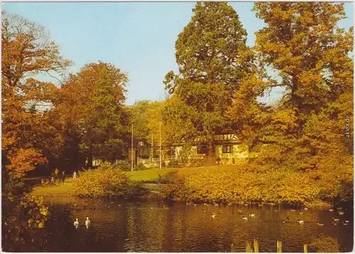 Ansichtskarte Rostock Ententeich am Zooeingang 1984