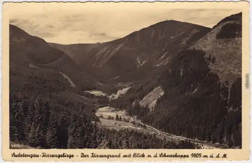 Krummhübel Karpacz Der Riesengrund mit Blick auf die Schneekoppe (1605 m) 193 