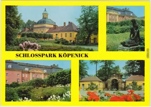 Ansichtskarte Köpenick Berlin Schlosspark Köpenick 1979