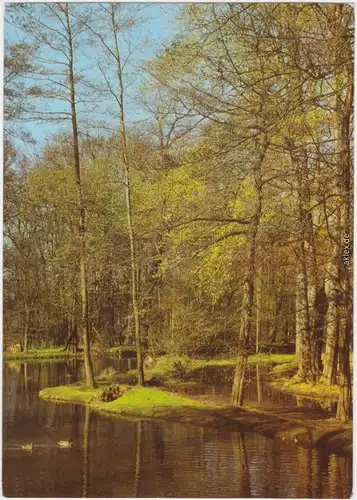 Blick auf einen Waldteich mit Enten Ansichtskarte Frohe Ostern 1981