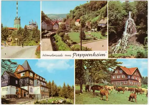 Pappenheim  Platz der DSF 3. Trusetaler Wasserfall 4. Spießberghaus 1973