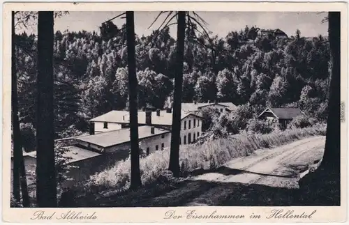 Bad Altheide Polanica-Zdrój Eisenhammer im Hölental 1927 