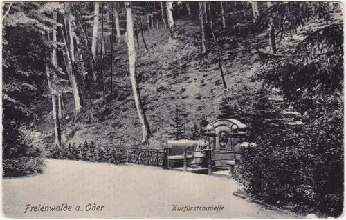 Ansichtskarte Bad Freienwalde Partie an der Kurfürstenquelle 1905