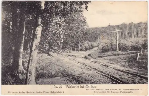 Melchow Waldpartie bei Melchow Biesenthal-Barnim Ansichtskarte 1913
