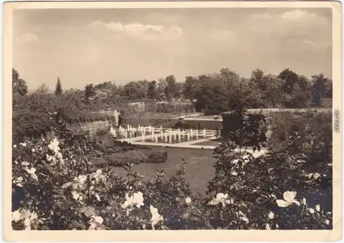 Foto Ansichtskarte Stuttgart Reichsgartenschau - Blüte im Tal der Rosen 1939