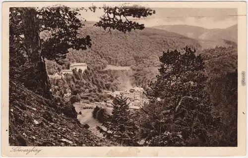 Schwarzburg Durchblick vom Trippstein 1925