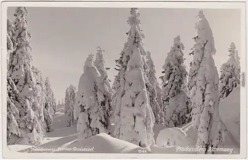  Plöckenstein Kammweg (Böhmerwald) - Winterlandschaft 1931