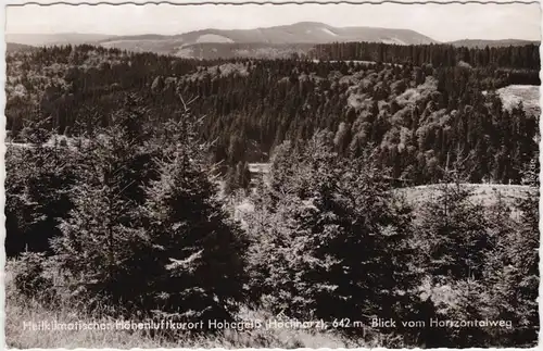 Hohegeiß Braunlage Panorama-Ansicht vom Heilklimatischer 1962