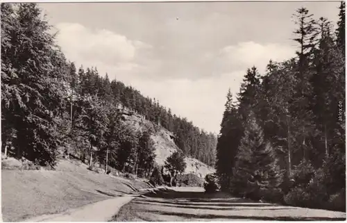 Tambach-Diethaz-Gotha Wanderweg: Apfelstädter Grund 1965 