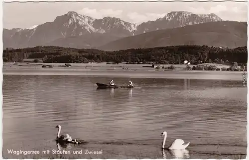 Foto Ansichtskarte Waging am See Wagingersee mit  Staufen und Zwiesel 1967
