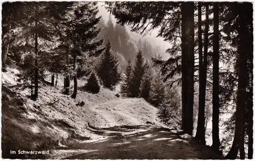 Feldweg im Schwarzwald Stempel Neustadt 1957