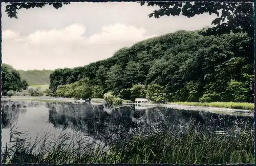 Eutin Blick auf den See Foto Ansichtskarte 1959