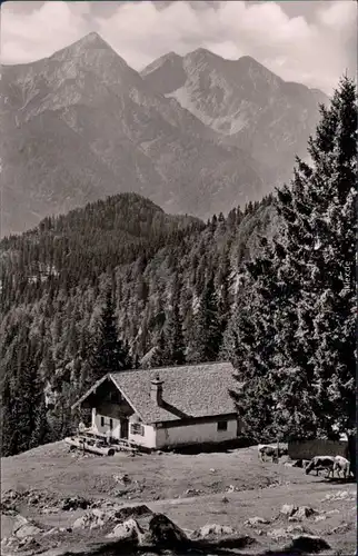Ansichtskarte Inzell Obb. Blick auf eine Berghütte - Kohleralm 1962
