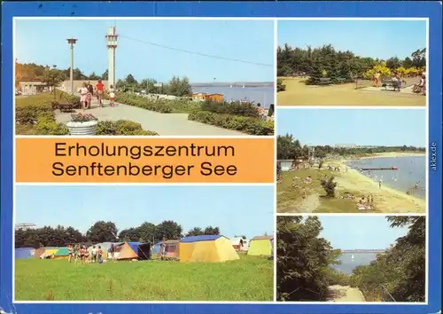 Senftenberg Niederlausitz Großkoschen Sportanlage, Niemtsch: Campingplatz 1984