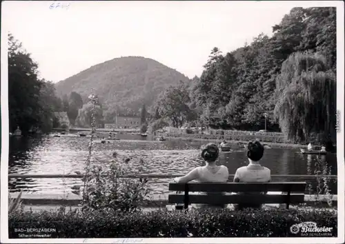 Foto Ansichtskarte  Bergzabern Schwanenweiher 1968