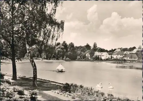 Horn Bad Meinberg Am Stausee mit Schwäne im Vordergrund Ansichtkarte  1960