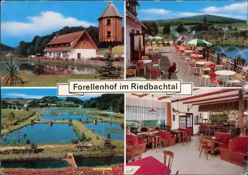Riedbachtal Forellenhof Innenansichten mit Gästebereich Zuchtteich 1973