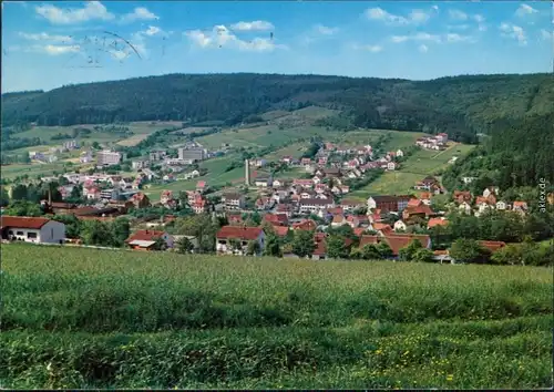 Ansichtskarte Bad Soden-Salmünster Panorama-Ansicht 1972
