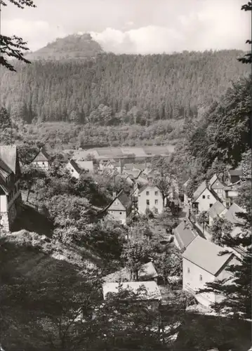 Schmilka Blick über die Stadt Foto Ansichtskarte  b Bad Schandau 1975