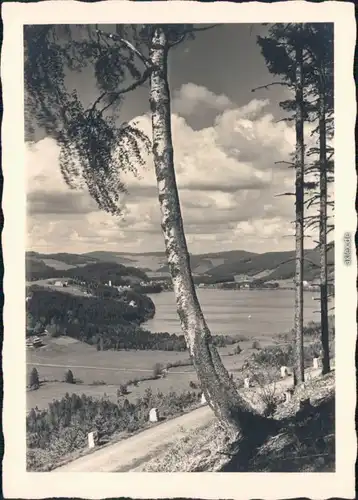 Foto Ansichtskarte Titisee Neustadt Blick auf den See mit Weitblick 1930