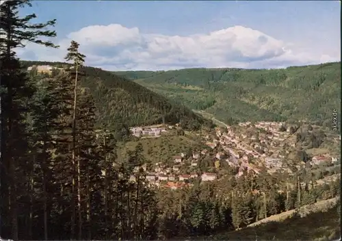 Ansichtskarte Bad Wildbad Panorama-Ansichten 1964