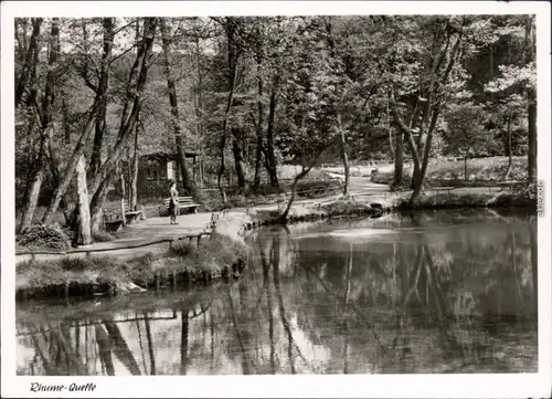 Rhumspringe Blick auf die Rhume-Quelle - eine der größten Europas -  1956