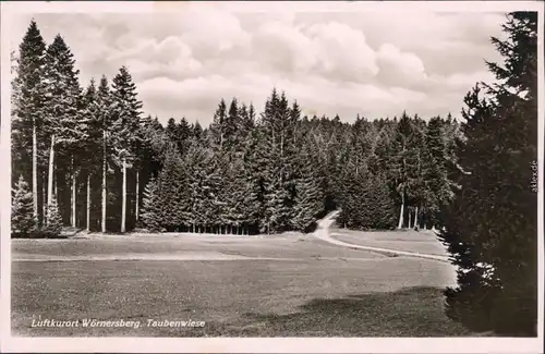 Ansichtskarte Wörnersberg Taubenwiese und Wald 1952