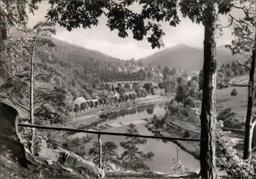 Ziegenrück Saale Blick von der Bauershöhe auf die Stadt und die Saale 1968