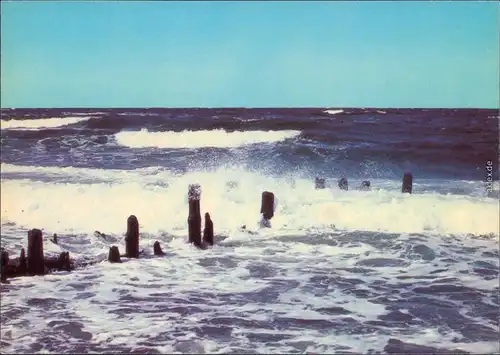 Grüße von der Ostsee 1983 BILD UND HEIMAT