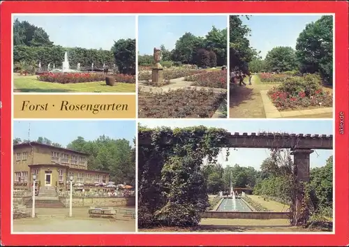 Forst (Lausitz) Baršć Rosengarten mit Springbrunnen und Blumenbeete 1984