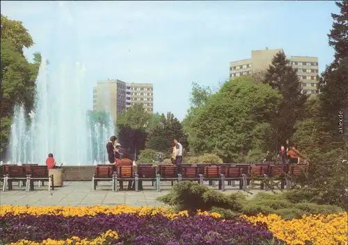 Dessau Stadtpark Ansichtskarte 1987