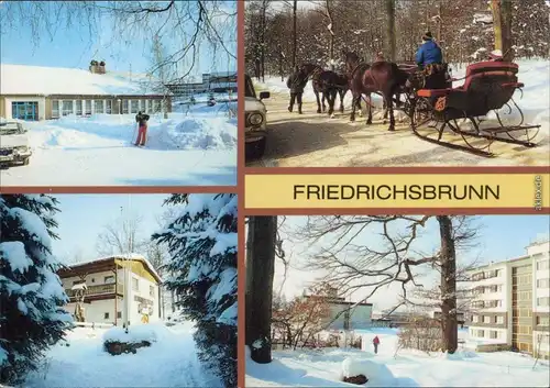 Friedrichsbrunn Winteransichten: Gasthof, Pferdeschlitten 1990