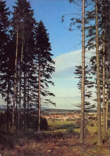 Ansichtskarte Benneckenstein Blick auf die Stadt vom Waldrand aus 1986