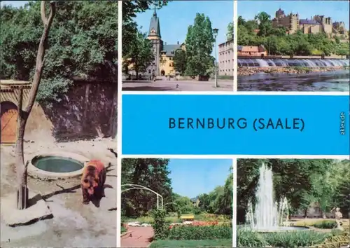 Bernburg (Saale) Bärenfreigehege Schloß   Rosengarten  Marx-Engels-Platz 1976