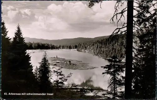 Bayerisch Eisenstein Blick auf Arbersee mit schwimmender Insel 1959