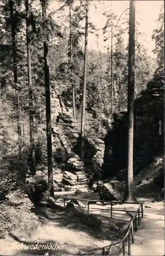 Rathen Schwedenlöcher Foto Ansichtskarte 1961