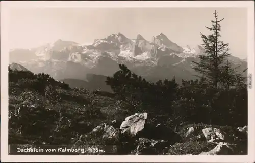Gosau Hoher Dachstein (2995 m) vom Kalmberg (1833 m) 1950 