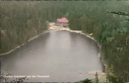 Bayerisch Eisenstein Arbersee  Seewand    Gaststätte und Bootsverleih 1966