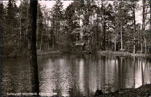 Marinhardt Kappler See im Wald 1968