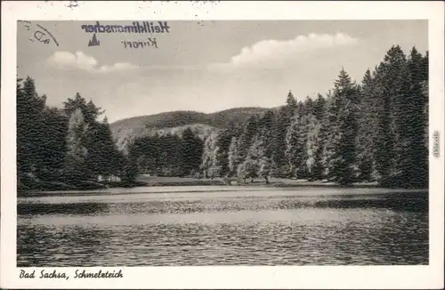 Foto Ansichtskarte  Bad Sachsa Schmelzteich 19668