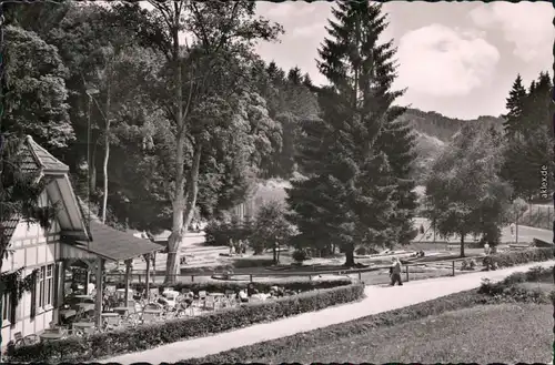 Foto Ansichtskarte Bad Schwalbach Kleingolfplatz im Wald 1953