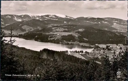 Titisee Blick über den Titisee (860 m) mit Bergmassiv im Hintergrund 1968