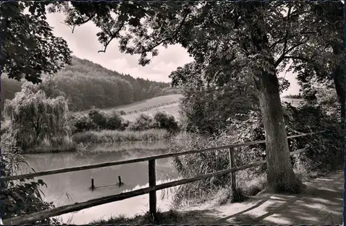 Northeim (Hann.) Brunnenteich im Sommer Foto Ansichtskarte  1968