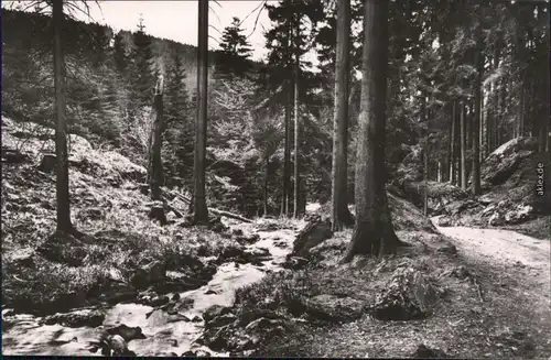 Foto Ansichtskarte  Tambach-Dietharz Schmalwassergrund 1965