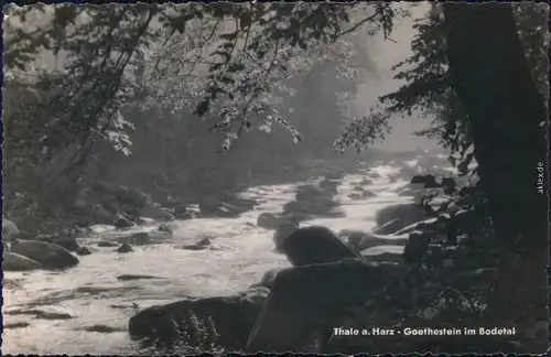 Foto Ansichtskarte   Thale (Harz) Goethestein im Bodetal 1965