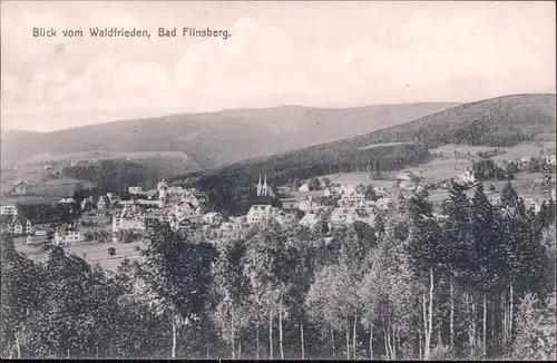 Bad Flinsberg Świeradów-Zdrój Blick vom Waldfrieden 1930
