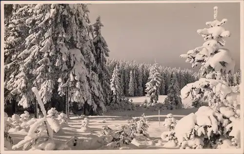 Vogelsgrün Auerbach (Vogtland) Winterlandschaft beim Forsthaus Fotokarte 1934