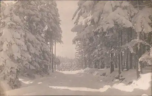 Auerbach (Vogtland) Wintersportplatz Zöbischhaus 1918 Privatfoto