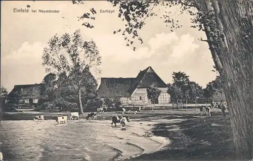 Ansichtskarte Einfeld Neumünster Dorfidyll 1916